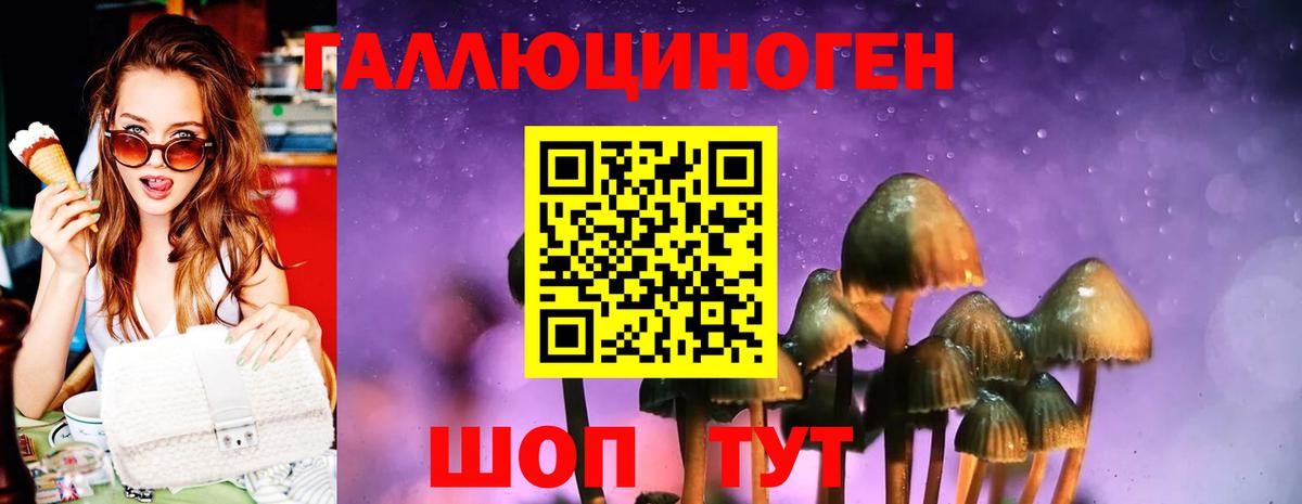 Таганрог  Псилоцибиновые грибы Psilocybe  Вход с VPN 